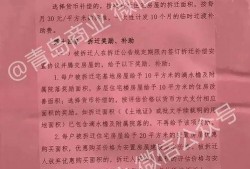 十梅庵拆迁最新爆料,揭秘拆迁背后的故事与影响