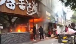 快餐爆料视频大全集,揭秘美食背后的真相