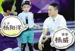杨威爆料天花板视频播放,天花板视频背后的惊人真相