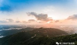 安丘最新爆料事件视频曝光,事件视频曝光，真相渐浮水面