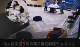 三鹿事件爆料视频大全,揭露背后的真相与反思