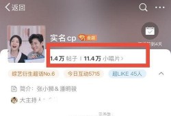 实名cp爆料朱俊畅视频,实名CP爆料背后的真相揭秘