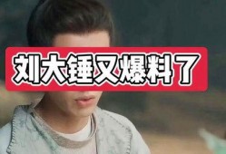 刘大锤爆料辛巴视频大全,精彩瞬间一网打尽