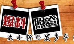 传情最新爆料新闻