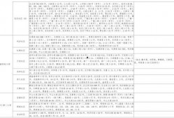 陕西小吃爆料视频大全最新,揭秘视频大全中的地道美食风情