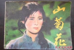 电影山菊花在线观看,烽火岁月里的青春赞歌