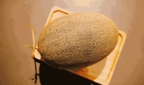濮阳哪里有免费吃瓜,濮阳免费吃瓜活动地点大盘点