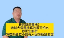 新冠医生爆料新闻视频播放,揭秘疫情背后的真实情况